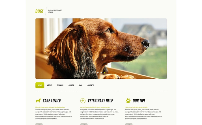 Perro Responsivo Tema de WordPress
