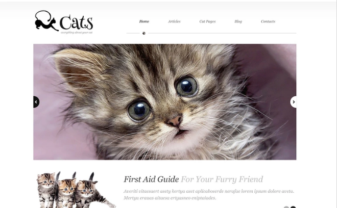 Acerca del tema de WordPress Gatos