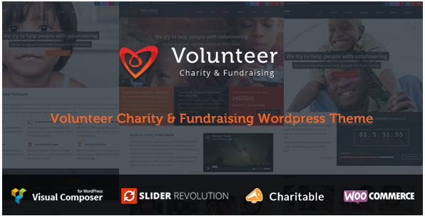 Volunteer - Тема WordPress для сбора средств на благотворительность