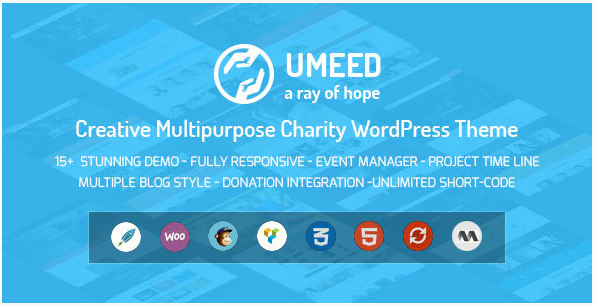 Лучшие темы WordPress для благотворительности