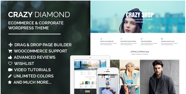 Crazy Diamond — motyw e-commerce i korporacyjny