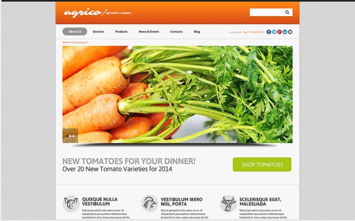 Motyw WordPress na deskę do zbioru