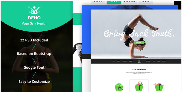 Deho: Sağlık PSD Tasarım Şablonları