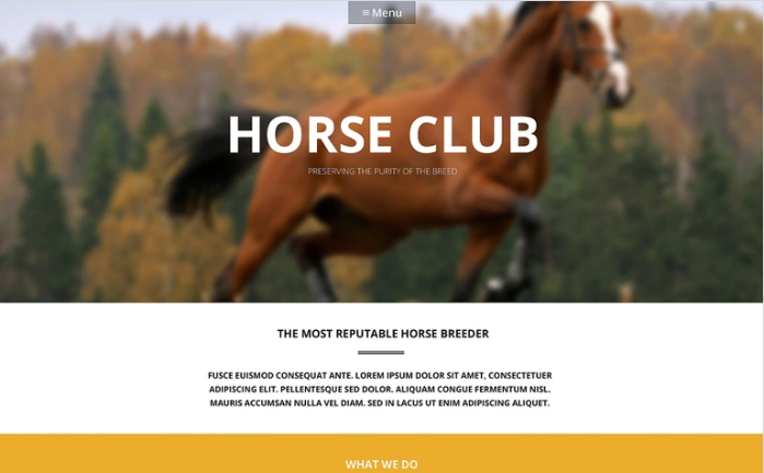 Роскошная тема WordPress для ухода за лошадьми