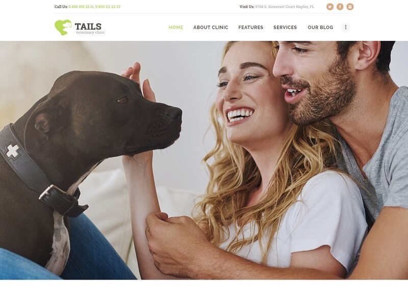 хвосты Tails: WordPress Animals Themes