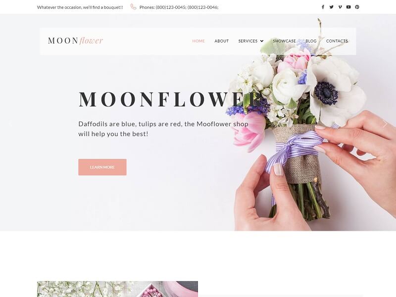 Лунный цветок 2 Moon Flower 2