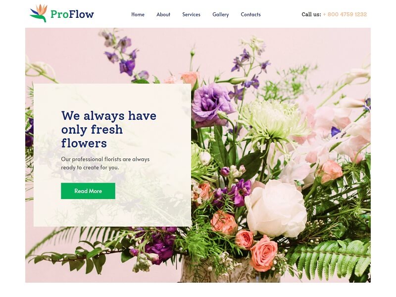 Профлоу ProFlow