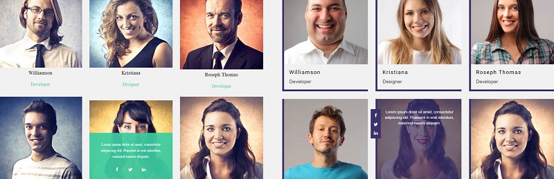 Showcase der Teammitglieder