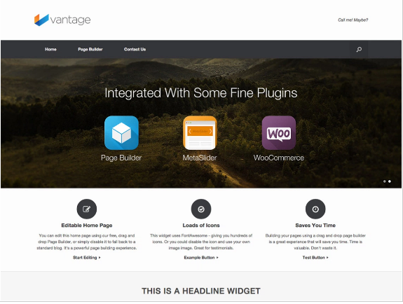 Teme WordPress populare gratuite