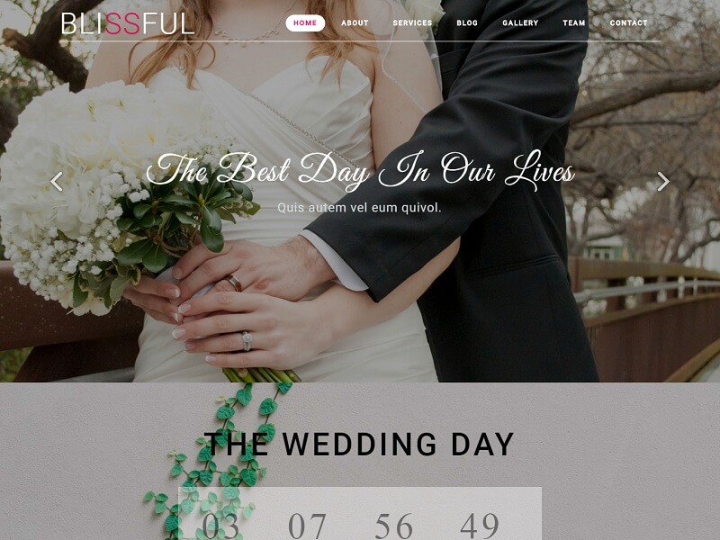 免费的一页 HTML 网站模板