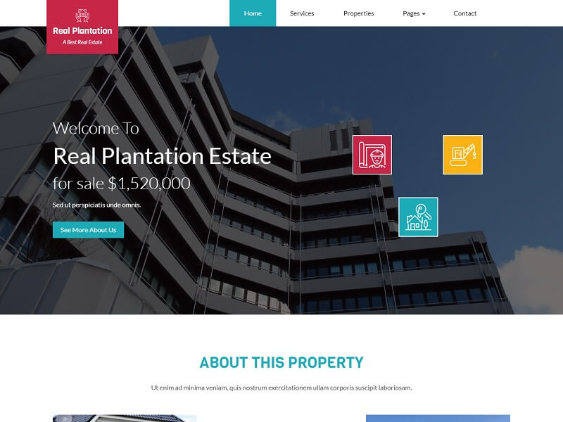 実際のプランテーション