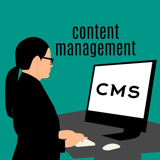 CMS content management system