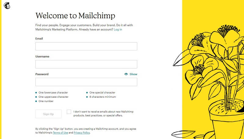 Cont pe Mailchimp Mailchimp account