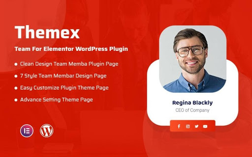 Tim Themex Untuk Elementor Themex Team For Elementor WordPress Plugin
