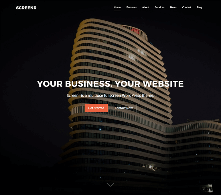 screenr best WordPress Themes