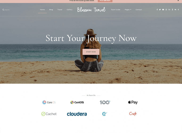 blossom travel best Free WordPress Themes