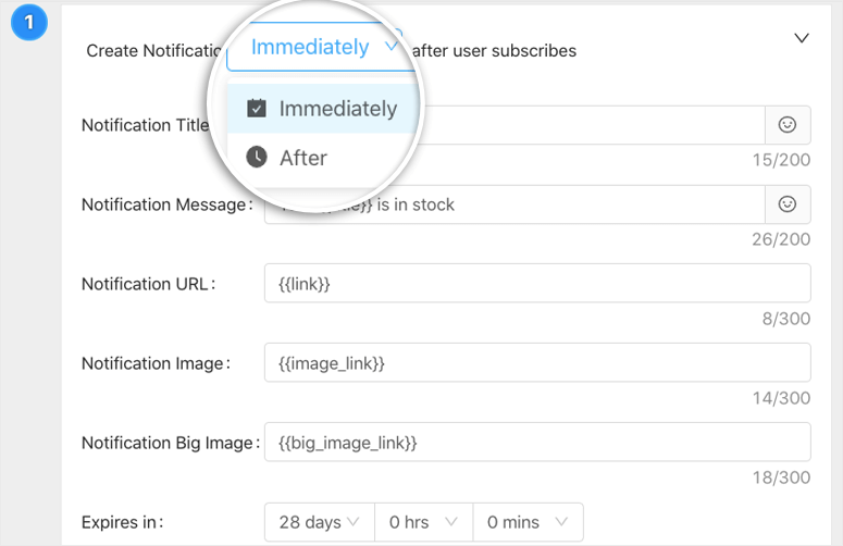 create-and-customize-back-in-stock-alert - IsItWP - 免费的 WordPress 主题检测器
