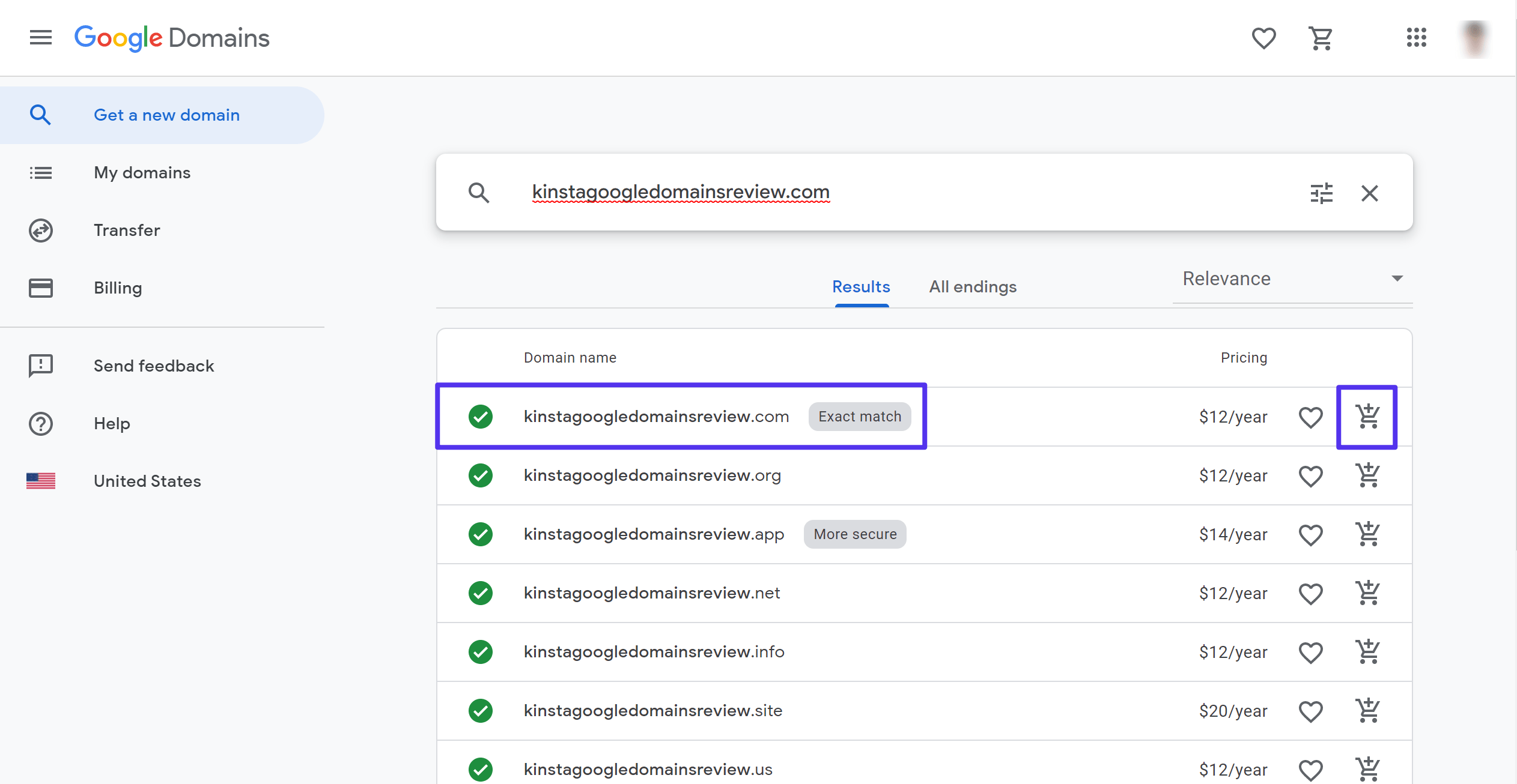 Überprüfung von Google-Domains: Überprüfen Sie die Domain-Verfügbarkeit