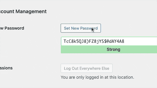 Создание надежных паролей в WordPress Generating strong passwords in WordPress