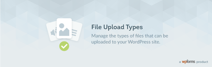 Tipos de carga de archivos por WPForms File upload types by WPForms