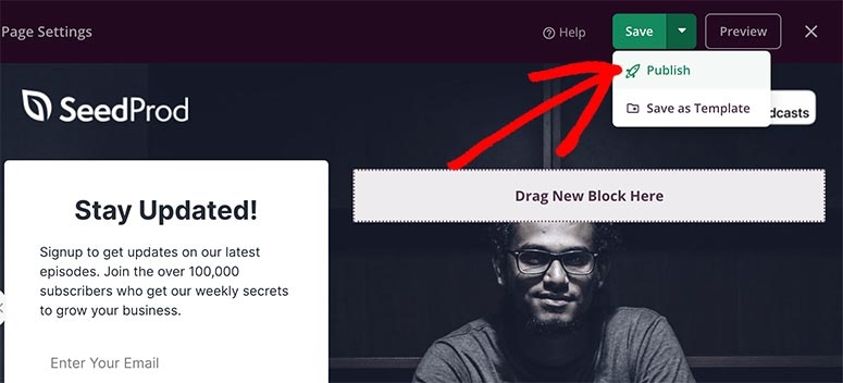 페이지 게시 - IsItWP - 무료 WordPress 테마 감지기 Publish page