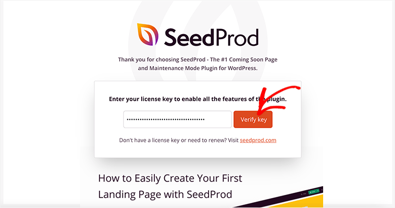 라이센스 키 확인 - IsItWP - 무료 WordPress 테마 감지기 Verify license key