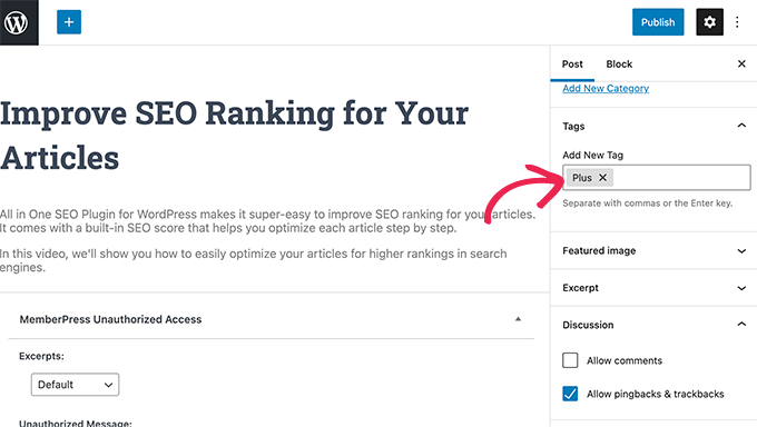 Restringir contenido en MemberPress Restrict content in MemberPress