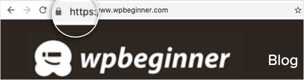 https-padlock-on-site-with-ssl — IsItWP — бесплатный детектор тем WordPress https-padlock-on-site-with-ssl