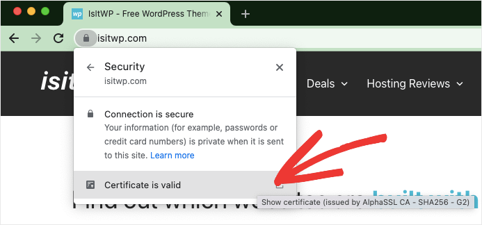 有効な証明書ssl-IsItWP-無料のWordPressテーマ検出器 valid certificate ssl