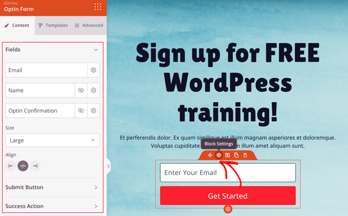 facebookadsoptinform Customize the Optin Form