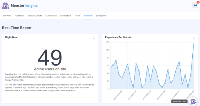 Raport în timp real Realtime report