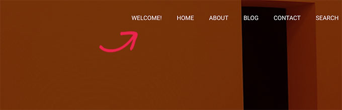 собственный текст в меню навигации custom text in navigation menu
