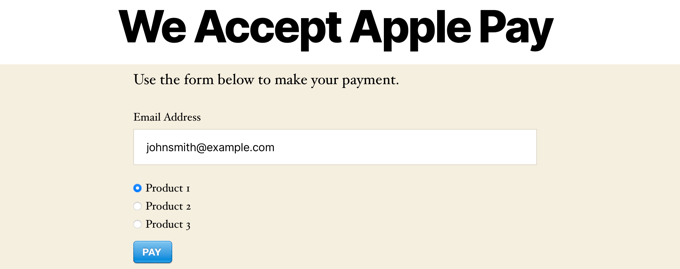 訪問您的網站以查看付款表格 Visit Your Website to See the Payment Form in Action