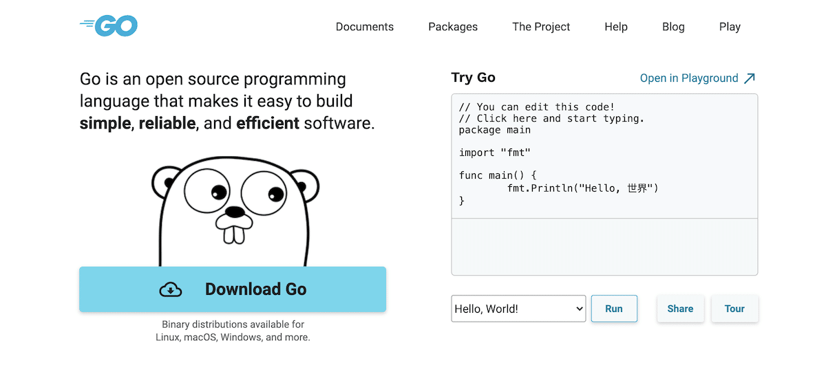 Скриншот домашней страницы сайта Golang.