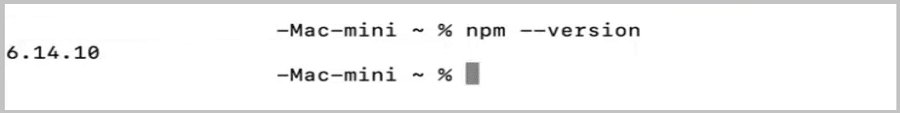 macOSでnpmのバージョンを確認しています。