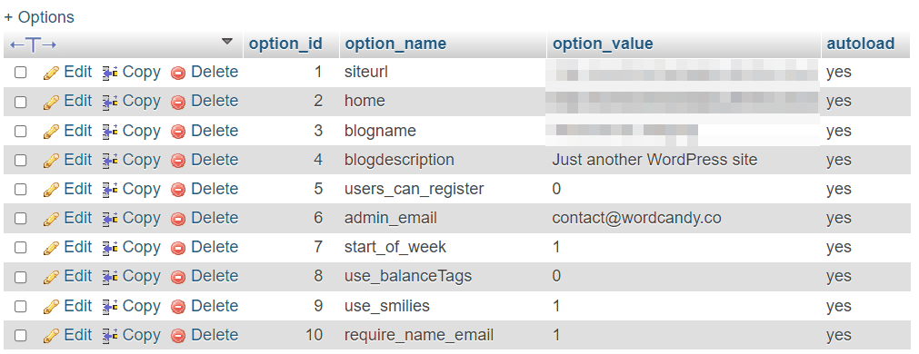 Ein Screenshot einer Datenbanktabelle, der die wp_options-Zeilen zeigt.