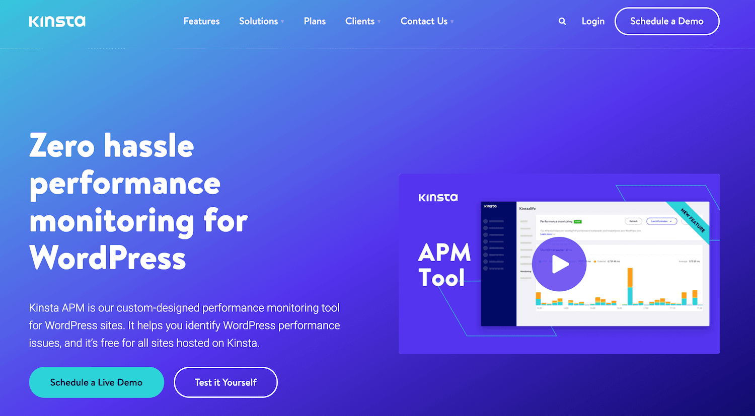 Kinsta APM aracı