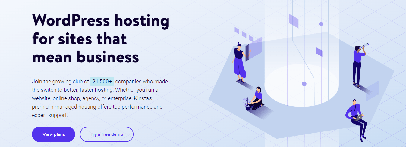 animasi svg di beranda Kinsta