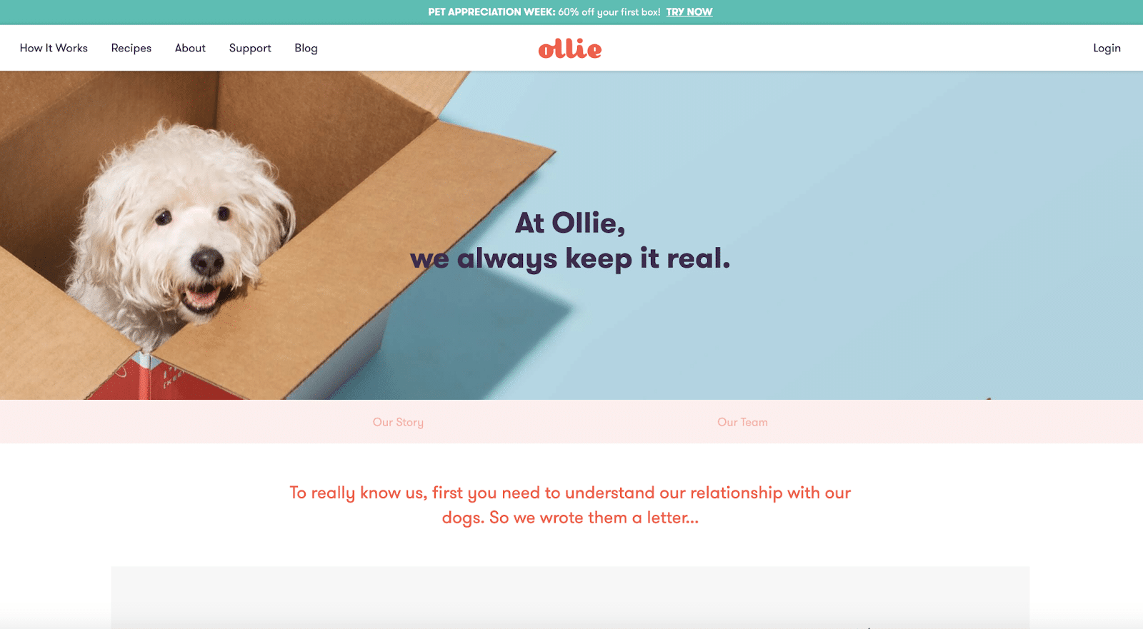 Ollieは、その中心的な焦点であるペットのヒーローイメージを特徴としています。