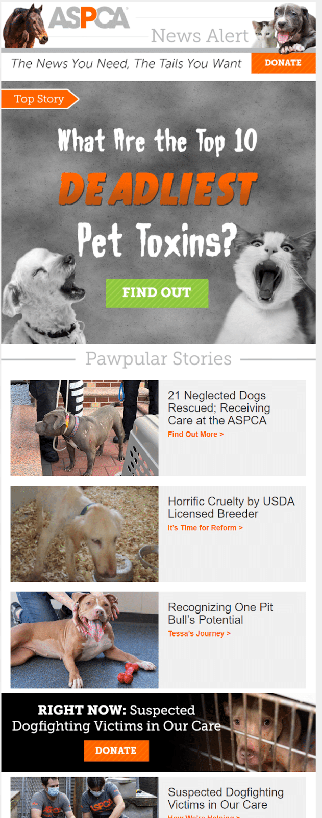ASPCA e-posta bülteni örneği