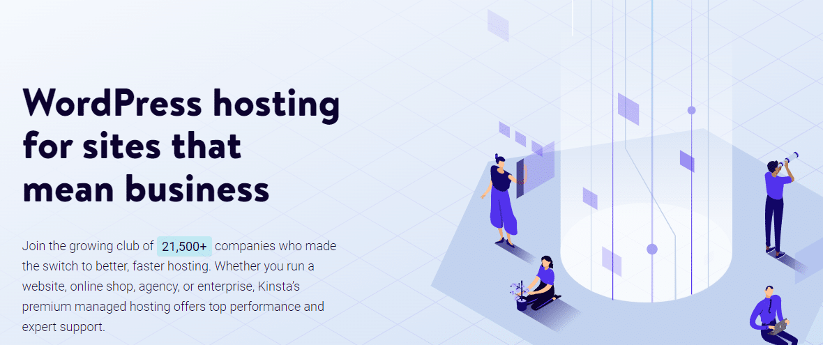 Kinsta ana sayfası