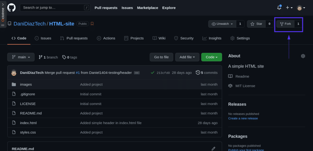 GitHub sayfası "Çatal" düğmesine odaklandı.