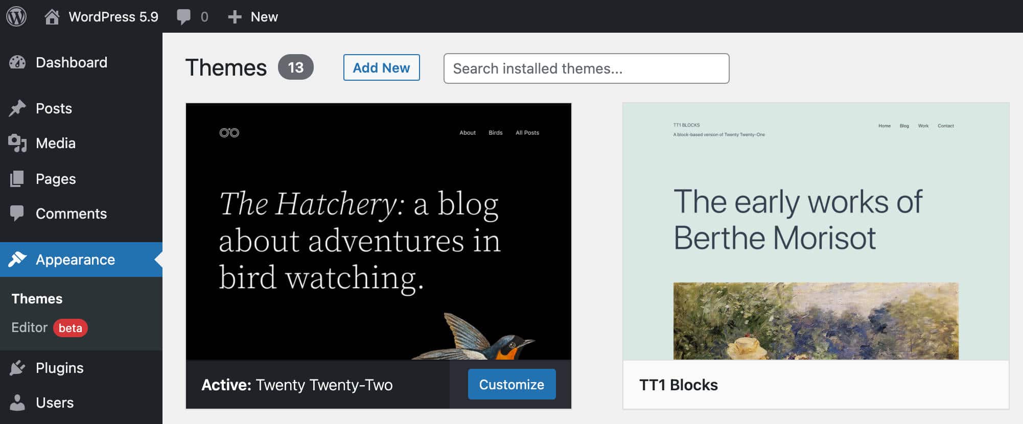 Menu Penampilan baru di WordPress 5.9.