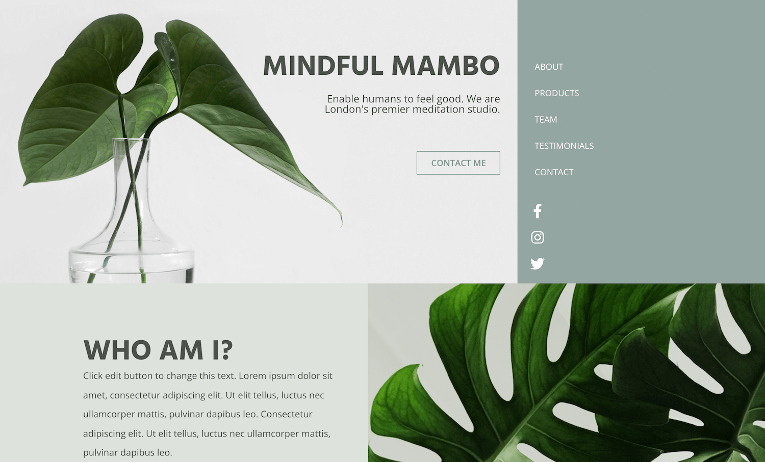 Șablon Mindful Mambo