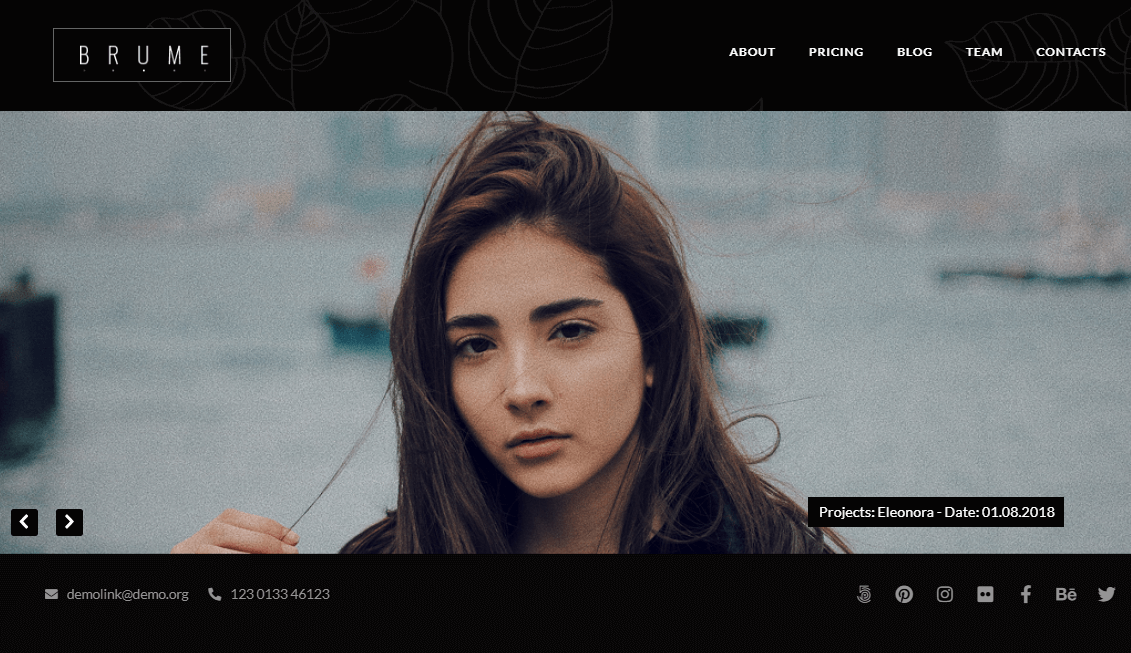 лучшие темы WordPress галереи