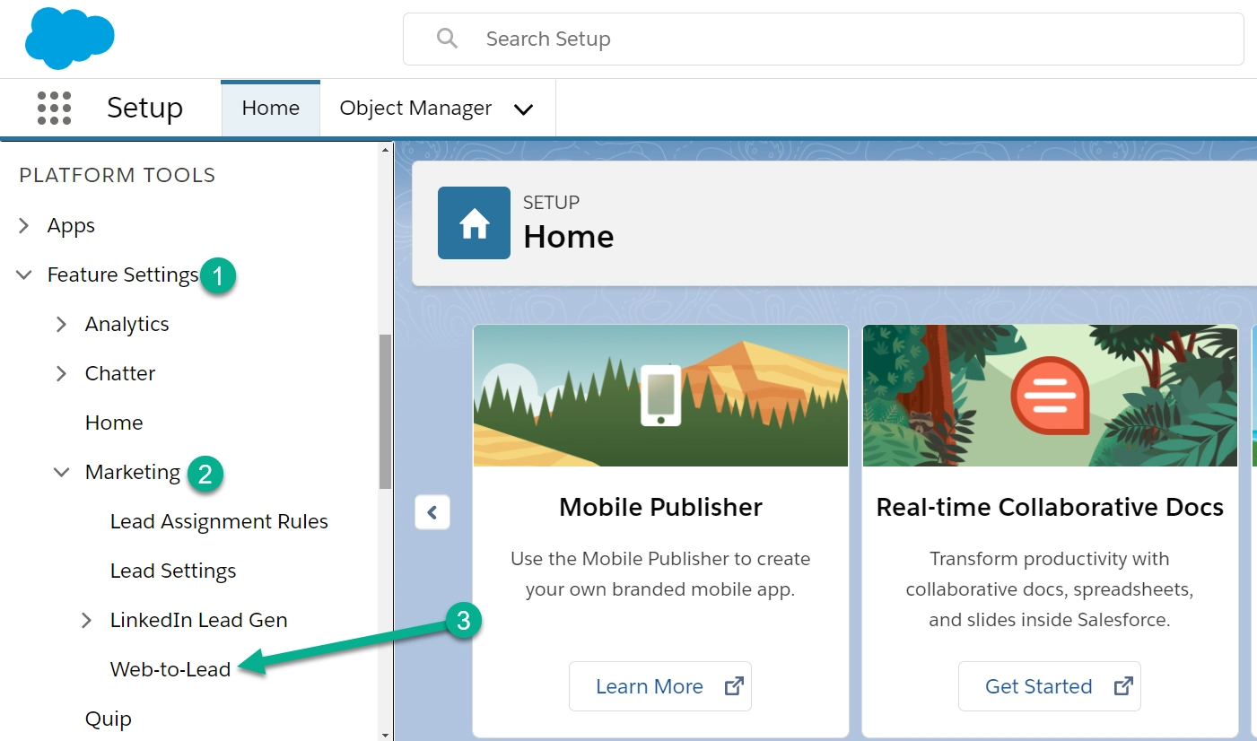 เว็บที่จะนำไปสู่การรวม WordPress Salesforce