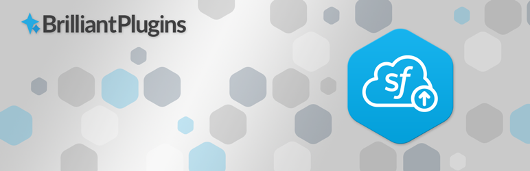 Brilliant Web-to-Lead สำหรับ Salesforce