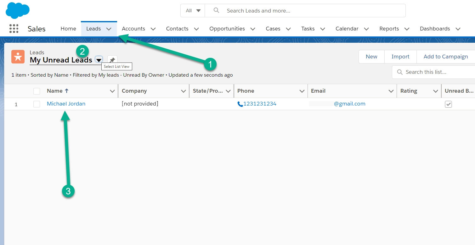 รายชื่อลูกค้าเป้าหมาย - การรวม WordPress Salesforce
