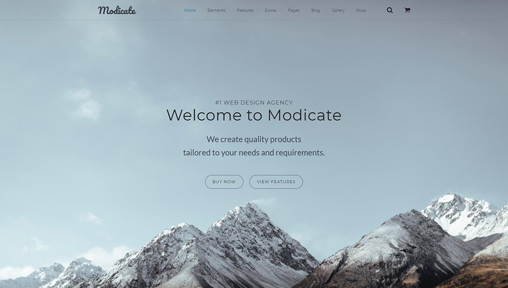 Modicate - Шаблон веб-сайта студии веб-дизайна