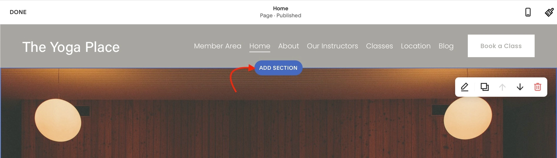 العثور على خيار إضافة قسم في صفحة Squarespace